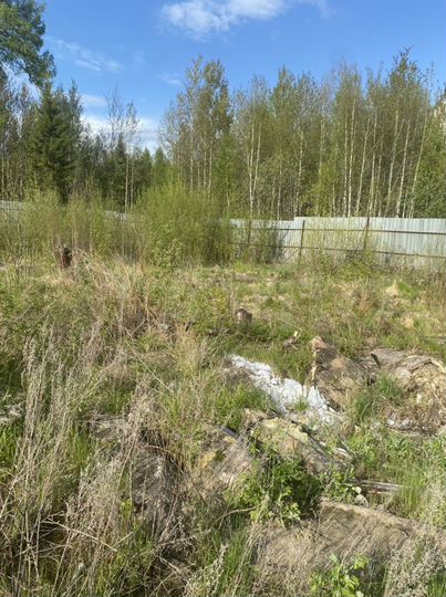 Участок 11 сот. (СНТ, ДНП)