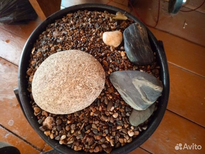 Для Аквариума