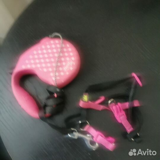 Поводок для маленьких собак и шлейка