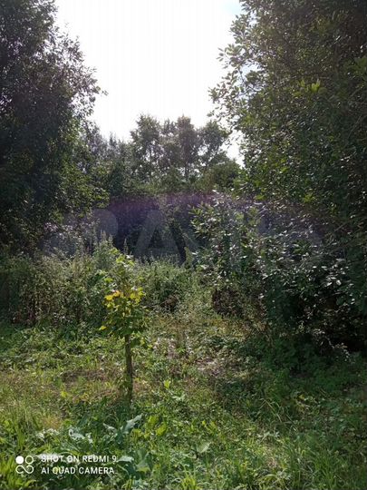 Участок 15 сот. (ИЖС)