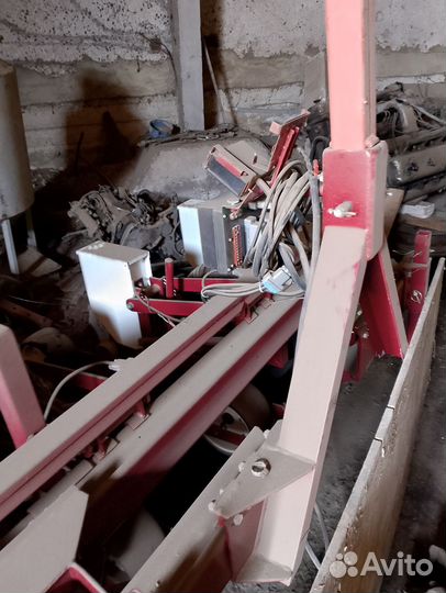 Сеялка клен