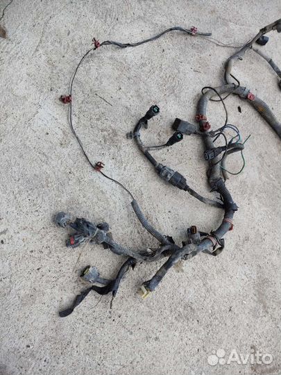 Hyundai Accent проводка подкапотная