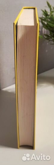 Д. Альтушер 