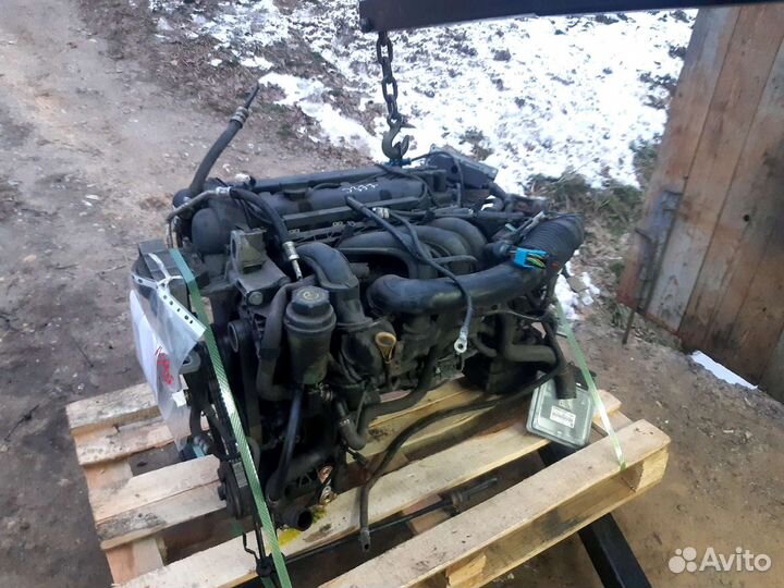 Двигатель Ford Focus 2 1.6 100лс hwda