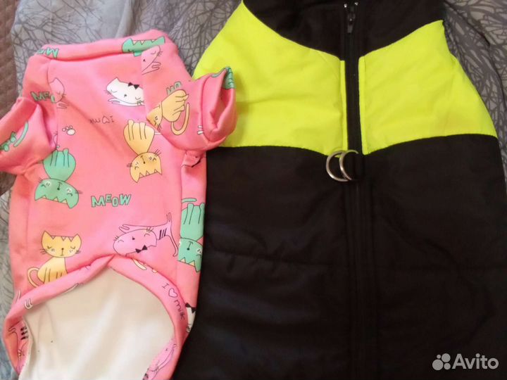 Одежда для собак