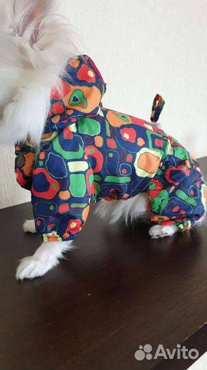 Одежда для собак