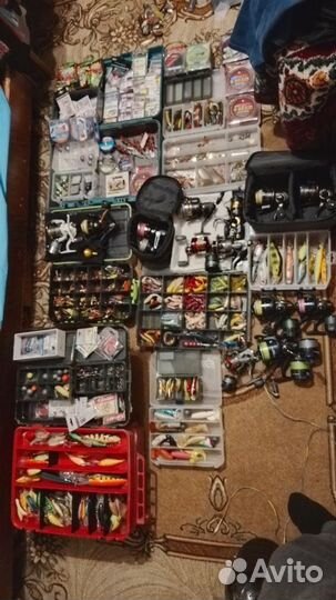 Карповый набор