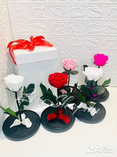 Роза в колбе