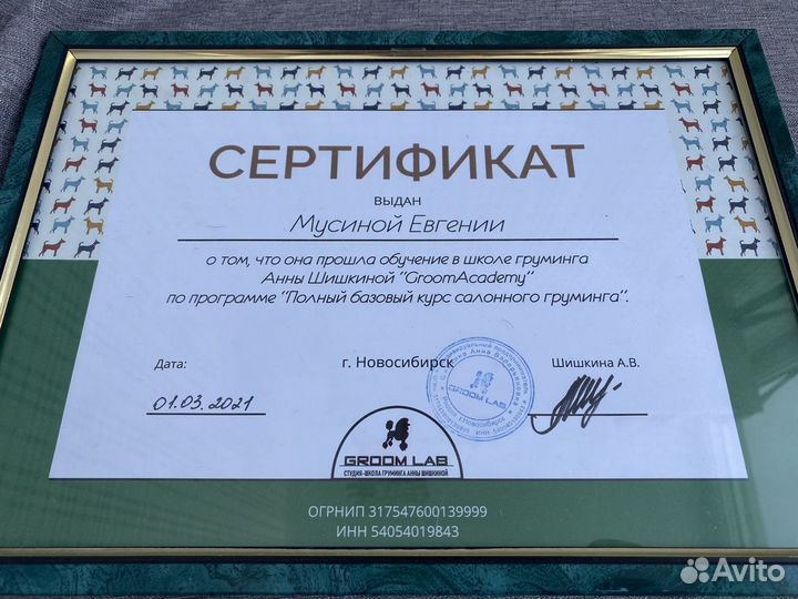 Стрижка собак и кошек Ухта