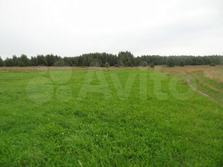 Участок 58 сот. (ИЖС)