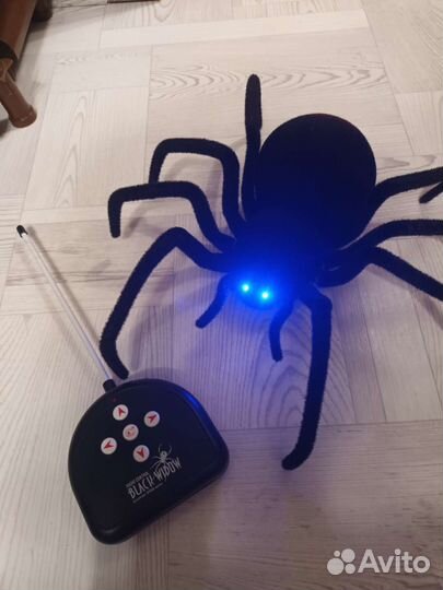 Паук на пульте управления