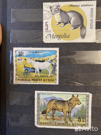 Марки Монголия Цветы, Животные, Спутники