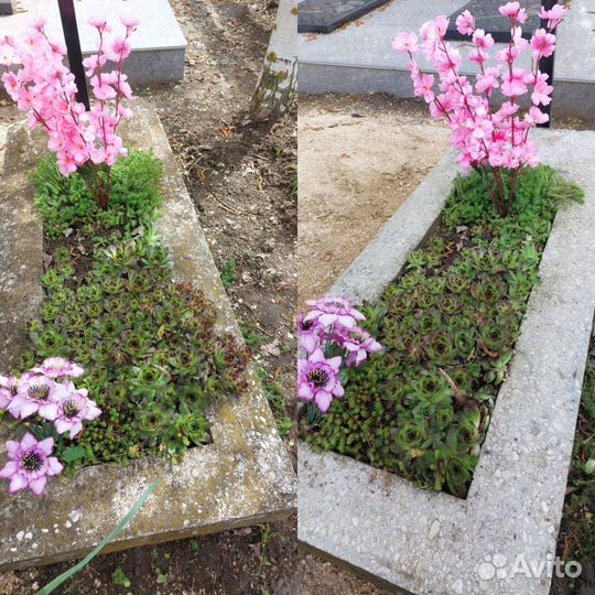 Услуги на кладбище