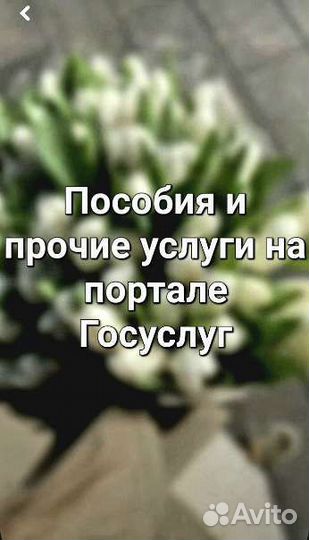 Пособия, Справки, Выписки
