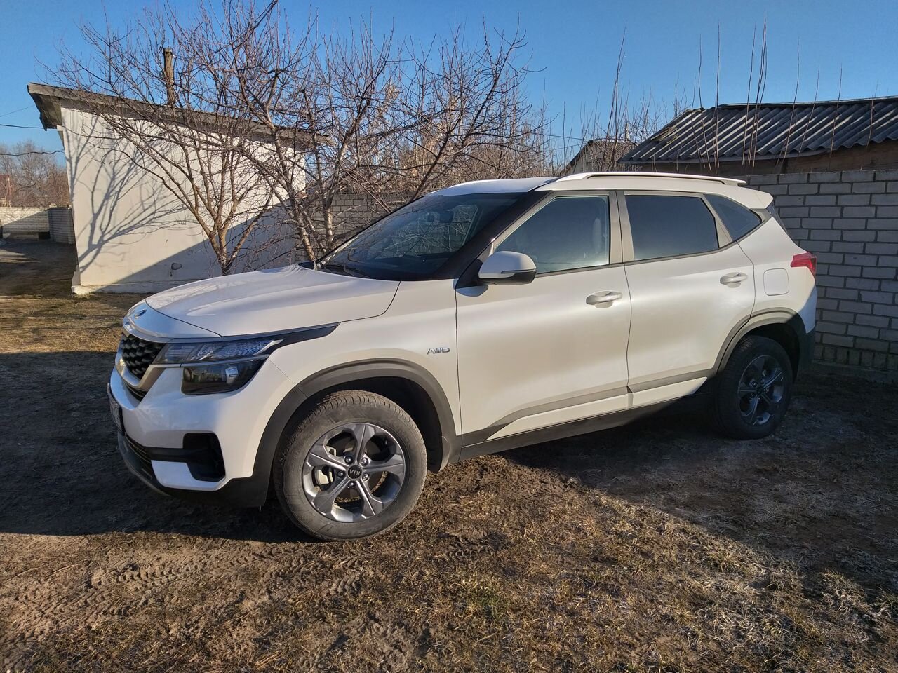 Kia Seltos: фото владельца