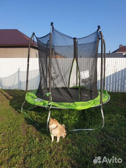 Батут с сеткой