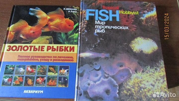 Мир тропических рыб.Золотые рыбки.В мире животных