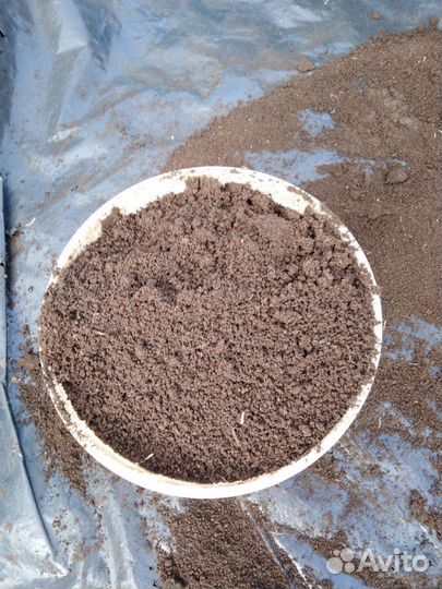 Черви для рыбалки