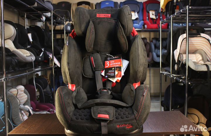 Автокресло детское Coletto Sportivo9-36 кг