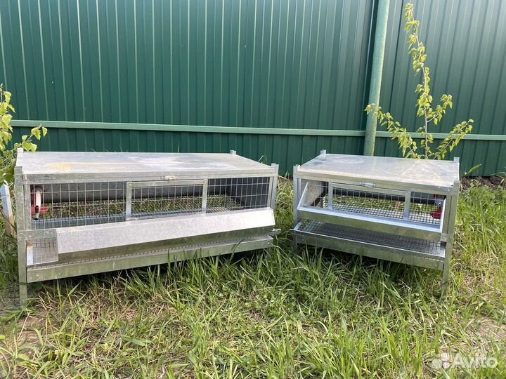 Клетка для перепелок бу