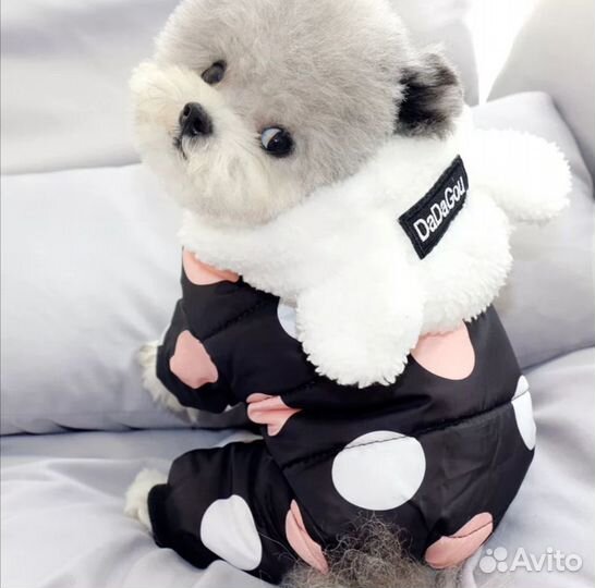 Костюмы для собаки