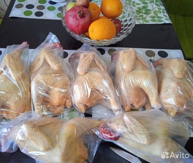 Курочки домашние