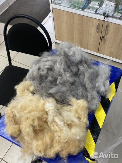 Вычесывание кошек