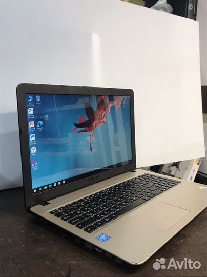 Шустрый HP asus