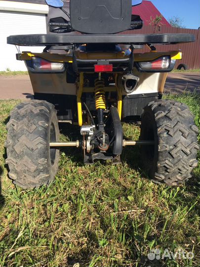 Avantis hunter 200 big premium