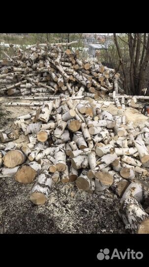 Дрова березовые