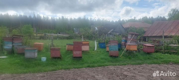 Улей для пчел бу