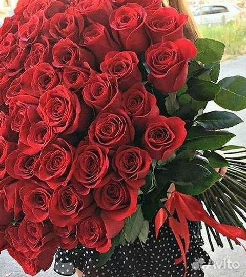 Высокие розы Гигантские розы с доставкой