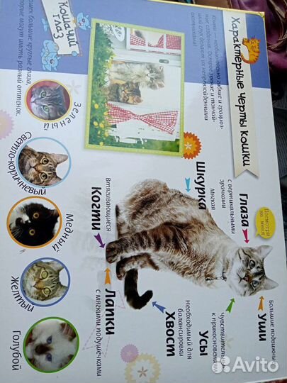 Книга пазл про котят богатое издание