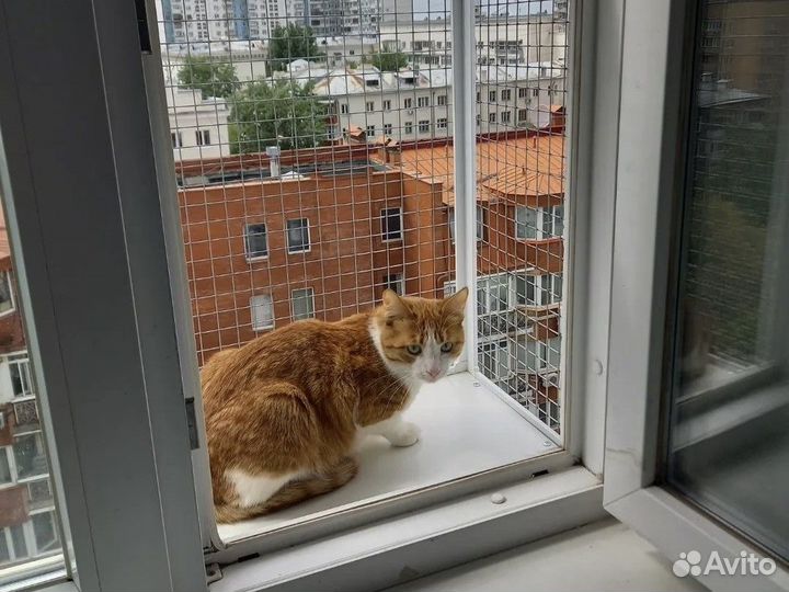 Установка пластиковых окон