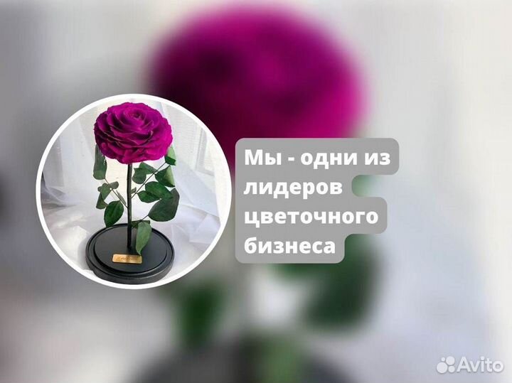 Роза в колбе. Любые размеры