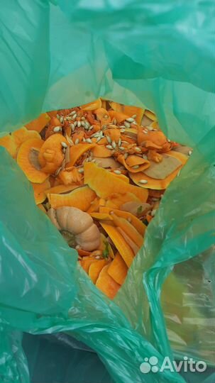 Овощи на корм животным