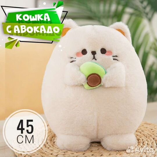 Кошка с авокадо