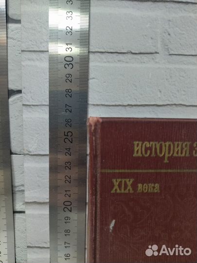 История зарубежной литературы XIX века. Ч. 2, кн