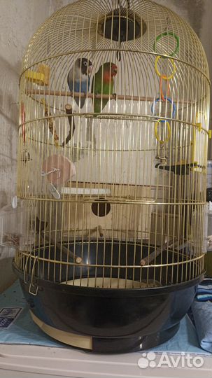 Домик для попугаев