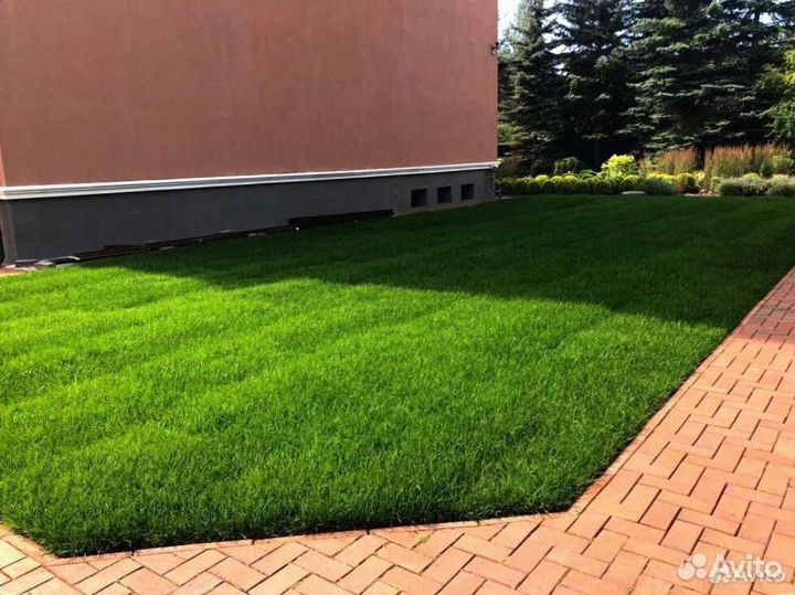 Рулонный газон Укладка