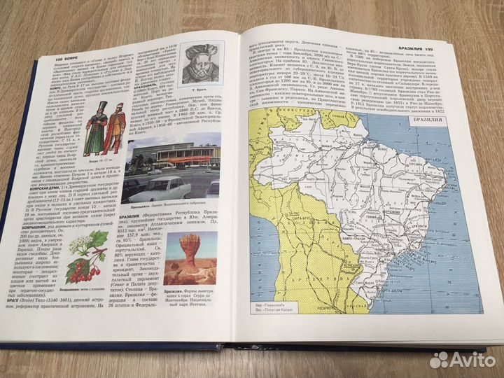 Большой энциклопедический словарь школьника