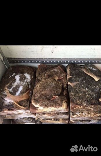 Лакомства для животных