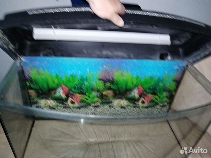 Аквариум б.у