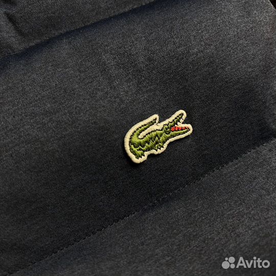 Жилет Lacoste