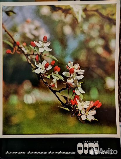 Журналы по фотографии, винтаж