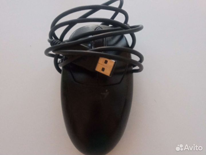 Мышь genius