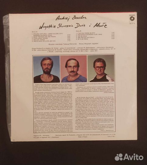 Виниловая пластинка