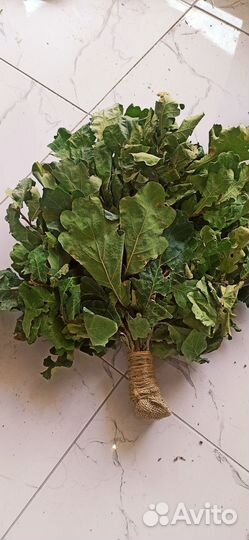 Веник берёзовые и дубовые