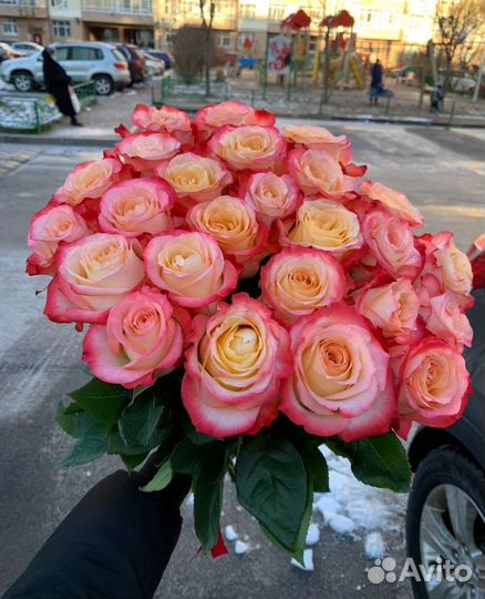 Букеты Роза Эквадор