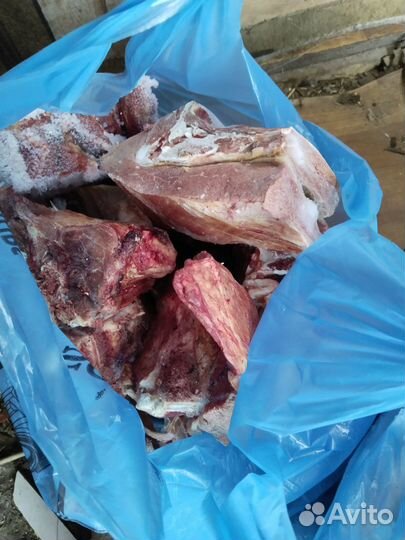 Мясо говядина для собак